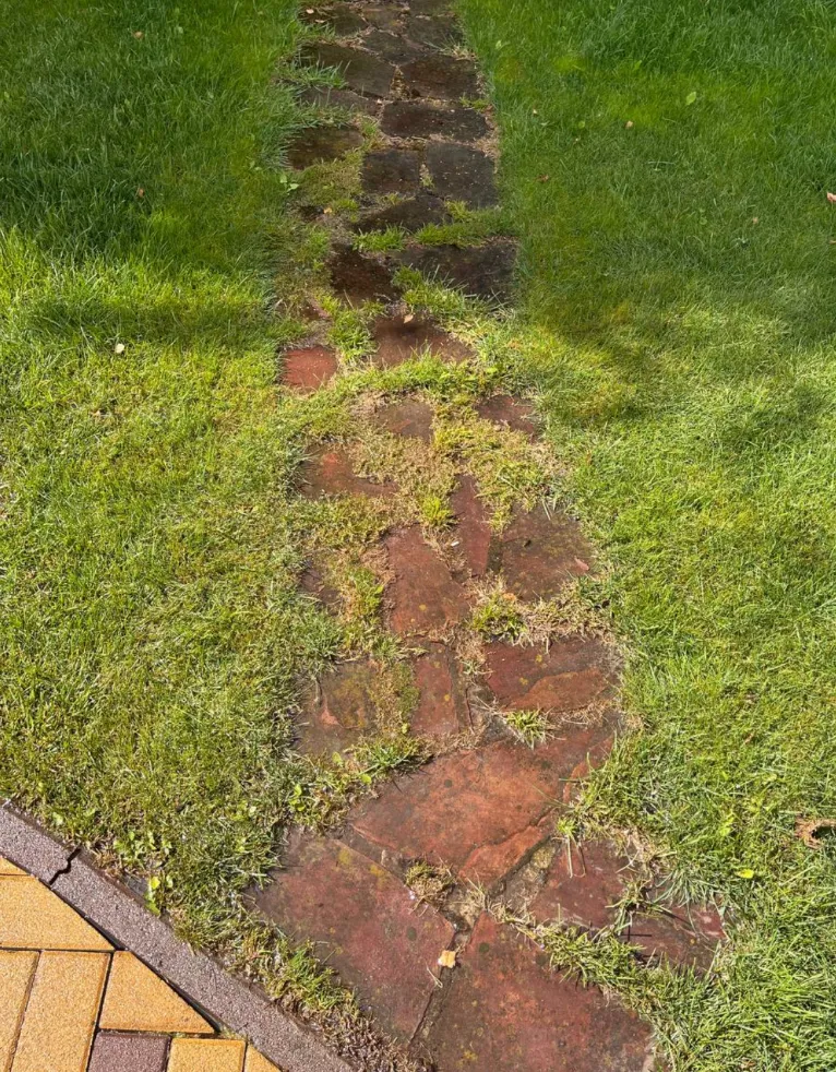 step-3