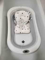 review-1